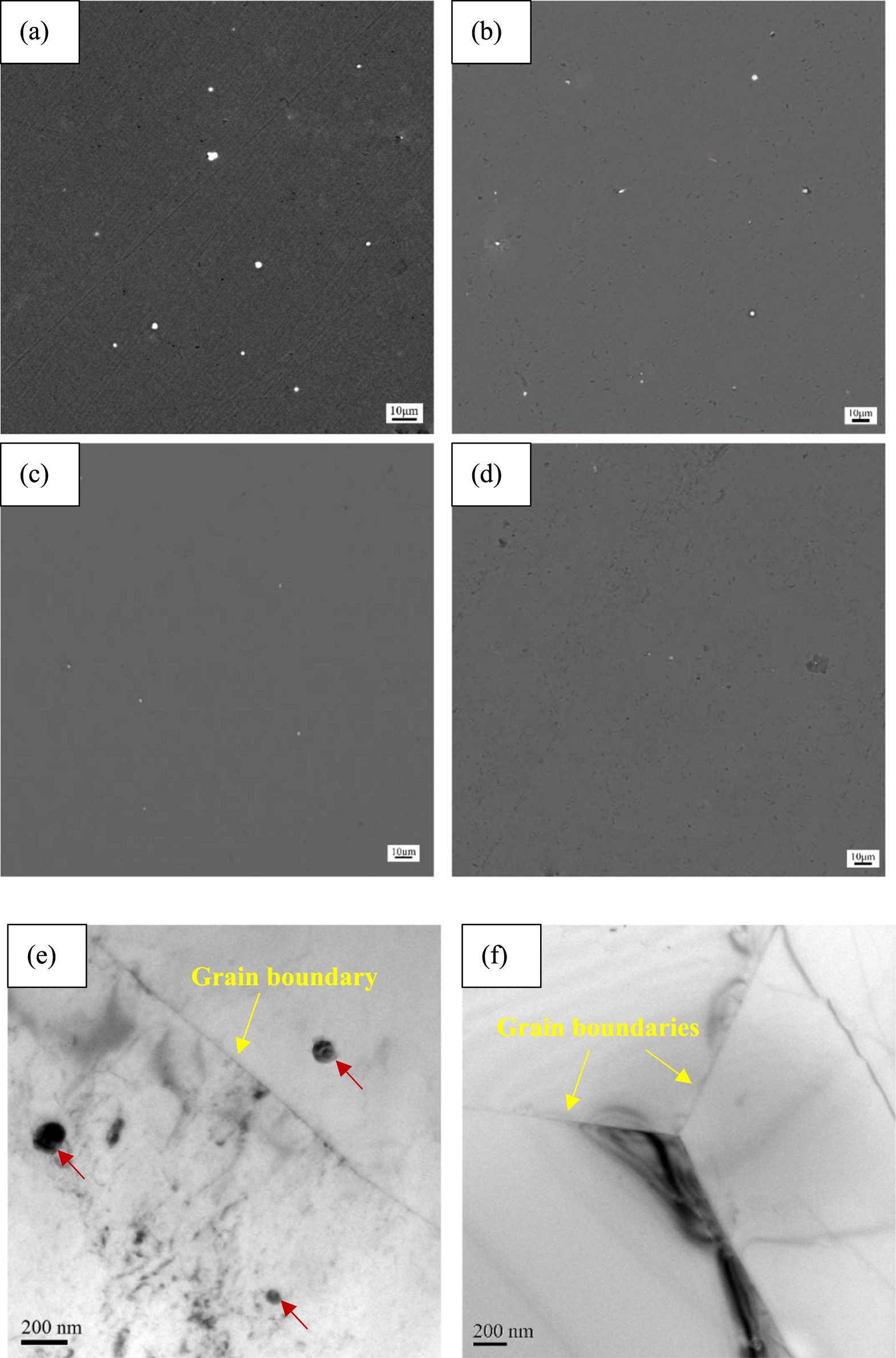 Enhancing the Electrochemical Performance of Al-Mg-Sn-Ga Alloy Anode ...