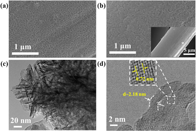 Interconnected Vertical δ-MnO2 Nanoflakes Coated by a Dopamine-Derived ...