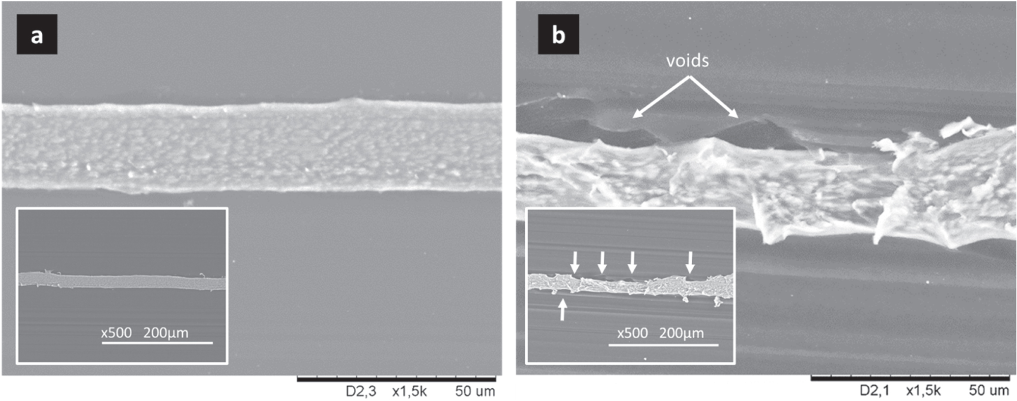 On the Importance of Li Metal Morphology on the Cycling of Lithium ...