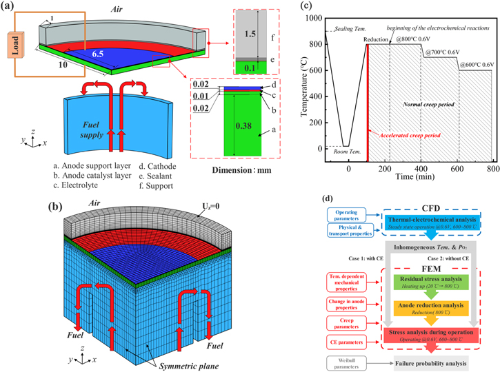 ThermoElectroChemoMechanical Modeling of Solid Oxide Fuel Cell for