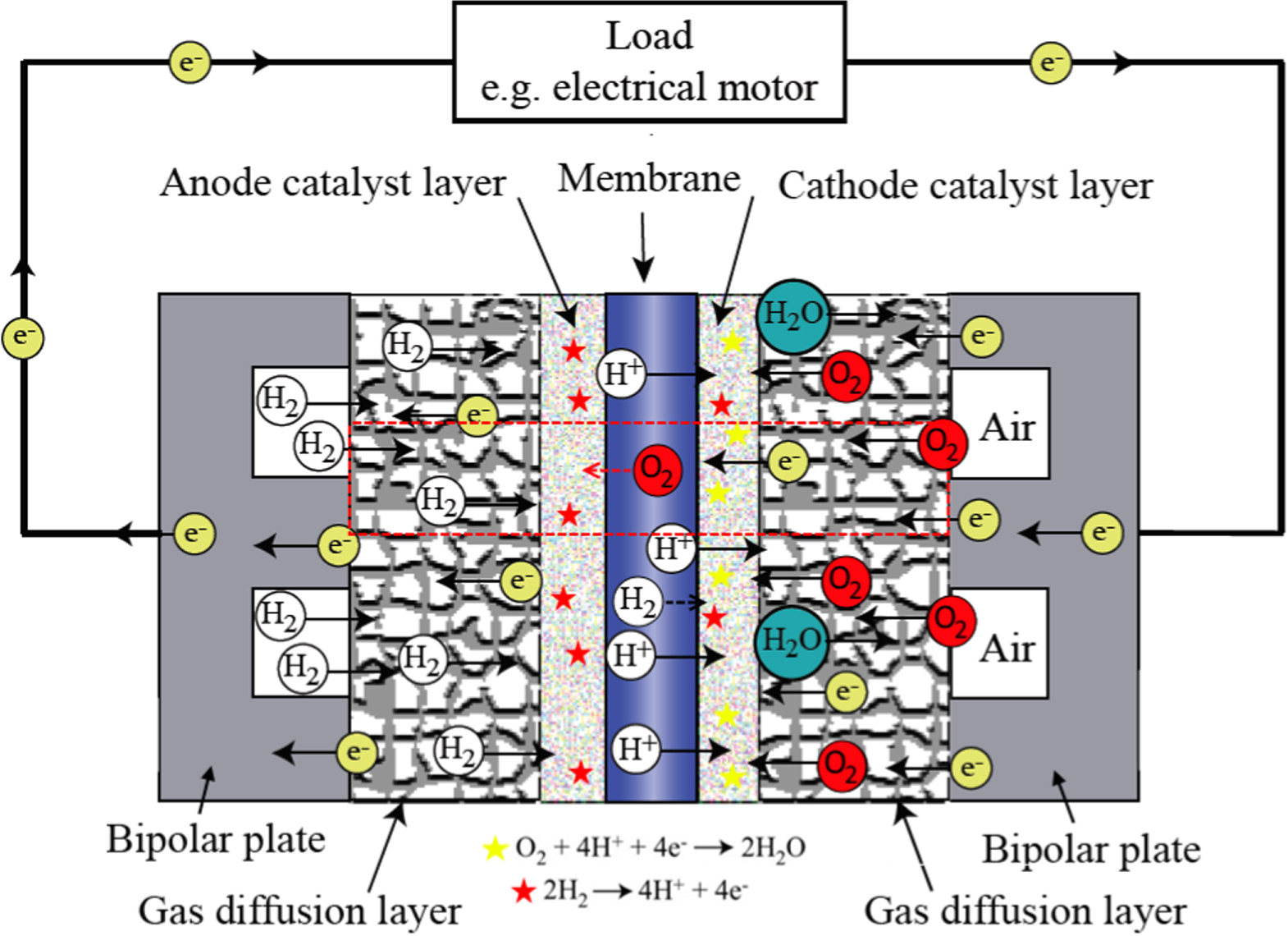 A Numerical Study on the Impact of Cathode Catalyst Layer Loading on ...