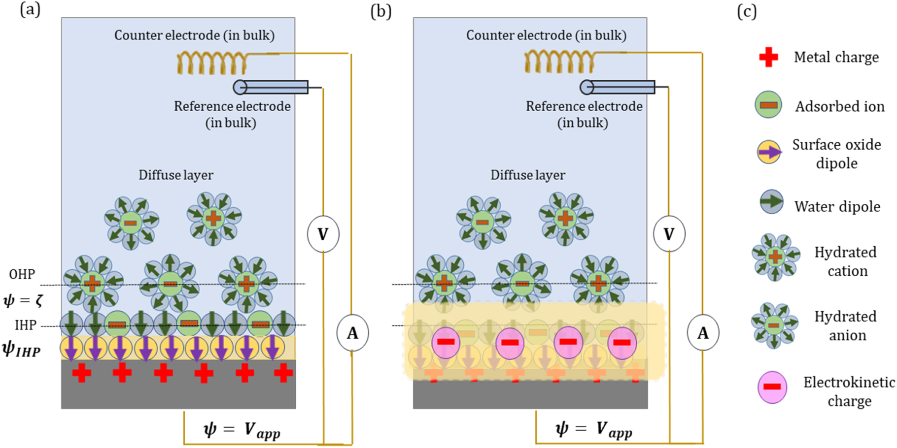 Electrokinetic Streaming Current Method to Probe Polycrystalline Gold ...