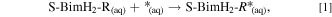 Equation (1)