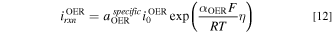 Equation (12)