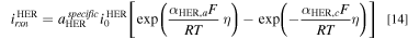 Equation (14)