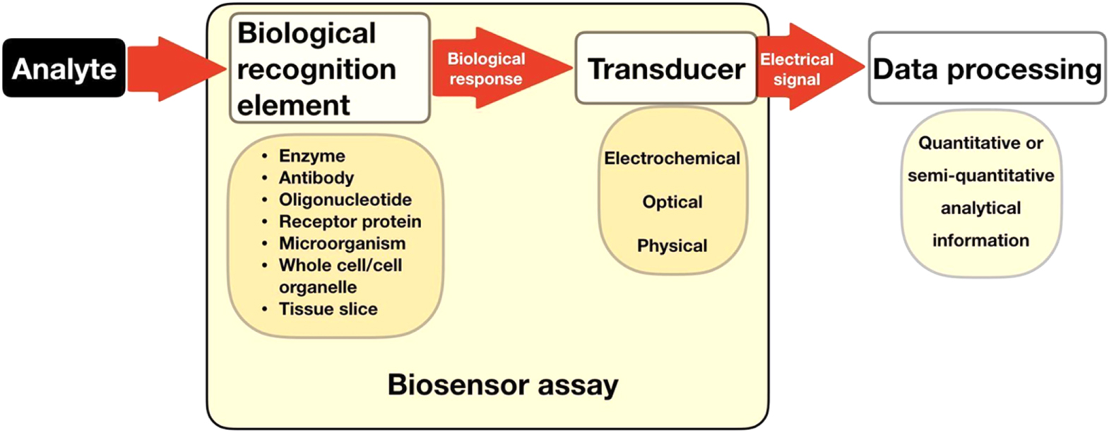 Review—Nanopillar Structure in the Direction of Optical Biosensor On ...