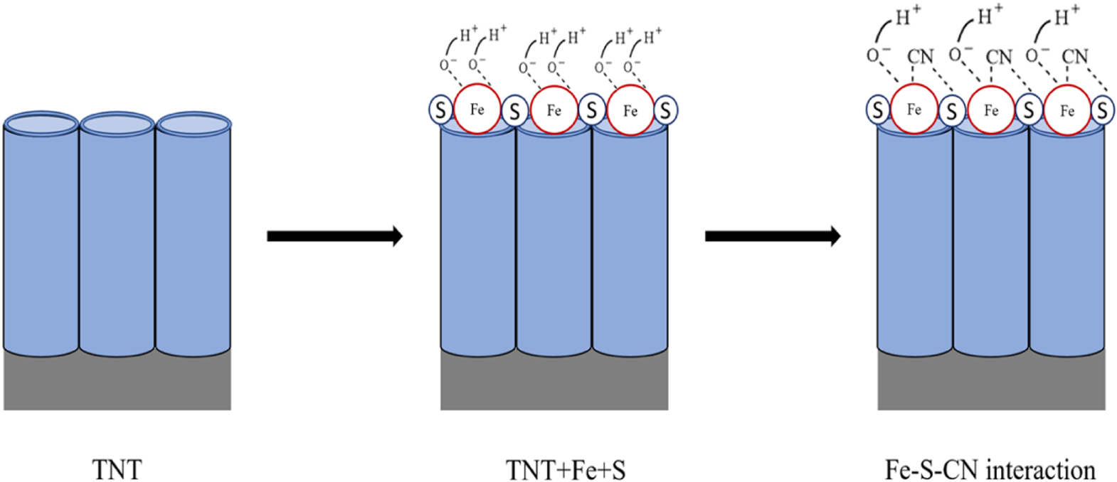 TiO2 Nanotube-Based Sensor for the Detection of Cyanide in Water ...