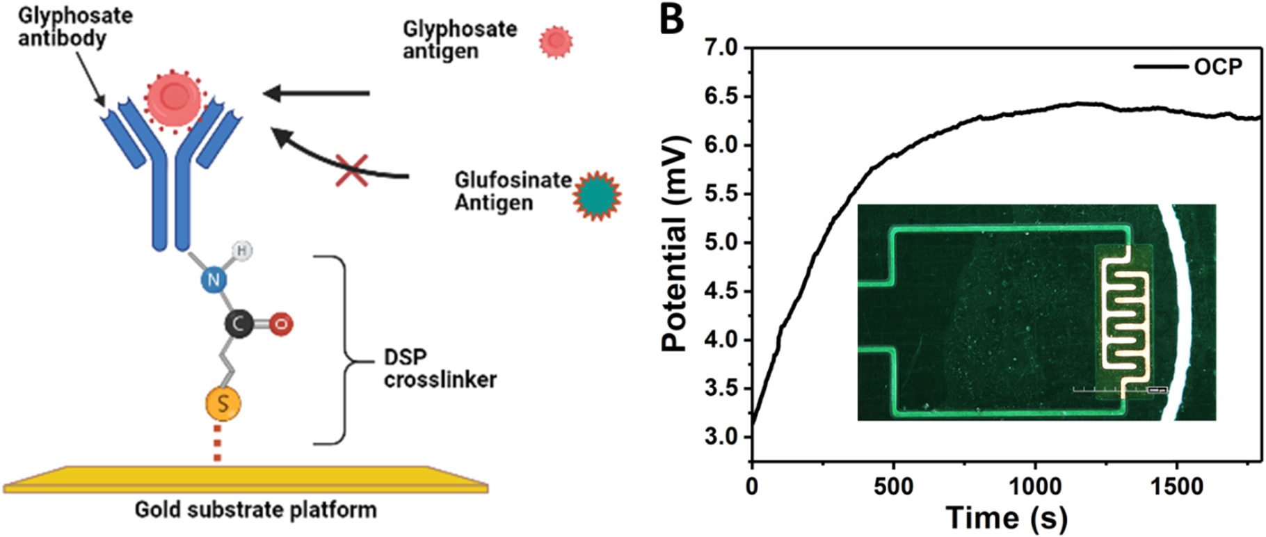 A Highly Sensitive Electrochemical Sensor System to Detect and ...