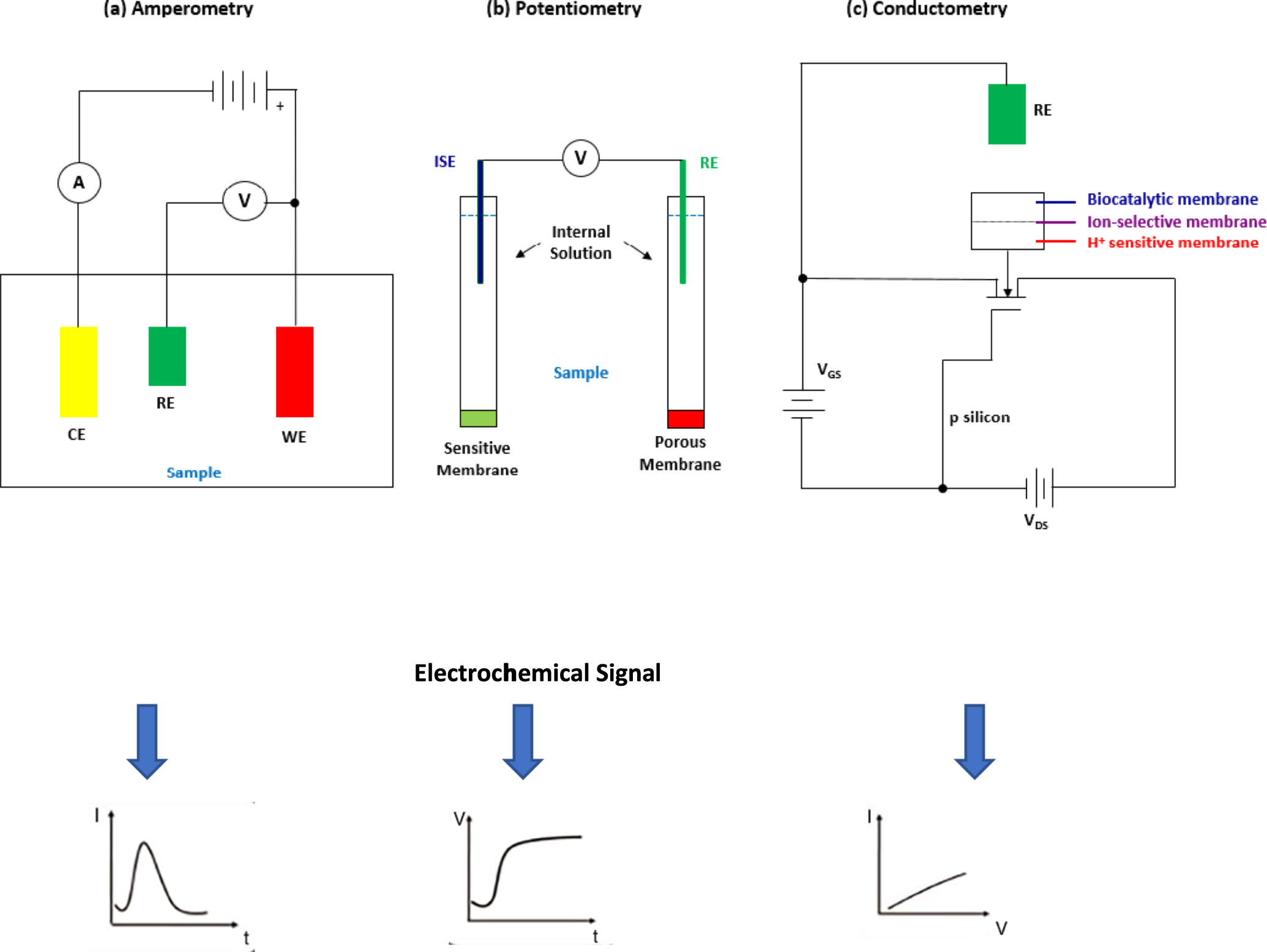 Review-Enzymatic and Non-Enzymatic Electrochemical Sensor for Lactate ...