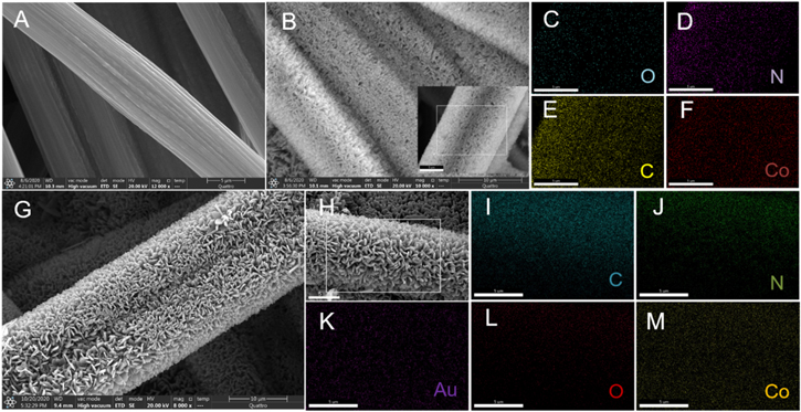 Electrochemical Sensor for Cd2+ Detection Based on Carbon Fiber Paper ...