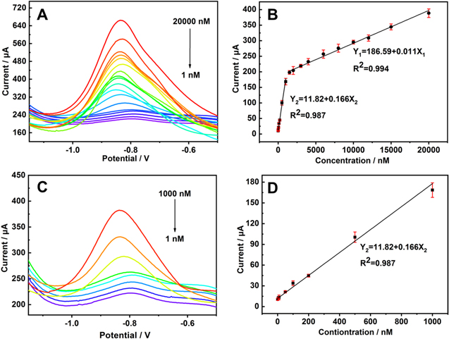 Electrochemical Sensor for Cd2+ Detection Based on Carbon Fiber Paper ...