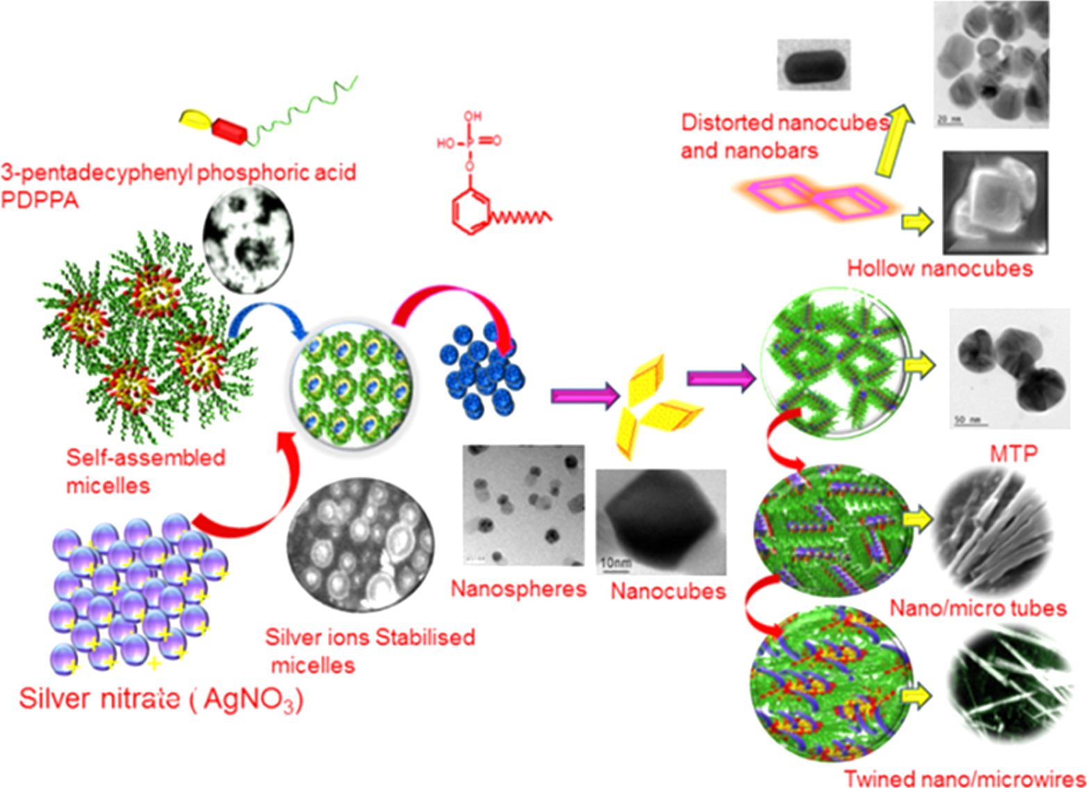 Nipping the Shape of the Nanosilver through Bio-Based Capping Strategy ...