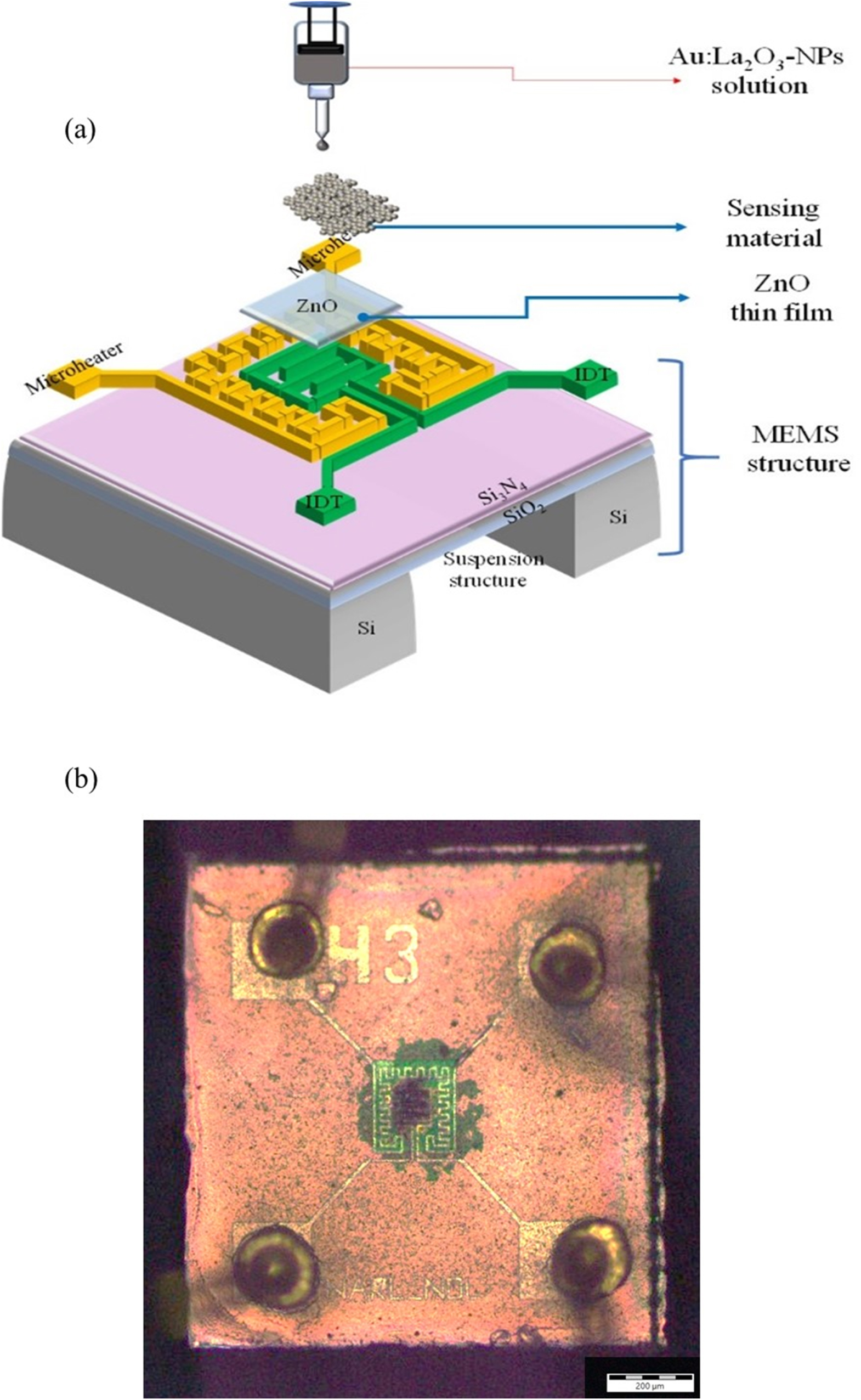 A La2O3 Nanoparticle SO2 Gas Sensor that Uses a ZnO Thin Film and Au ...