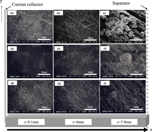 In Situ Observation at the Surface of Zinc in Alkaline Solution under ...