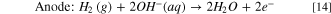 Equation (14)