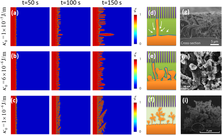 An Electrochemical-Mechanical Phase Field Model for Lithium Dendrite ...