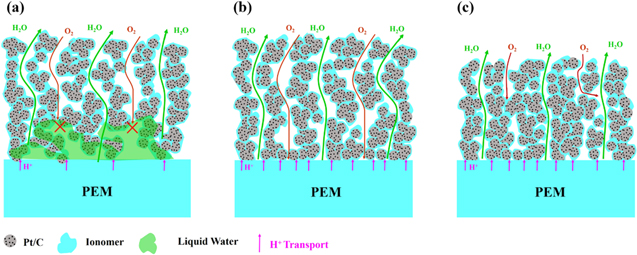 Optimization of the Interface Between Catalyst Layer and Proton ...