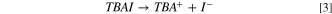 Equation (3)
