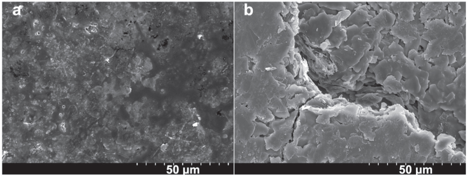 Diazotization Grafting Phenol for Improving the Electrochemical ...