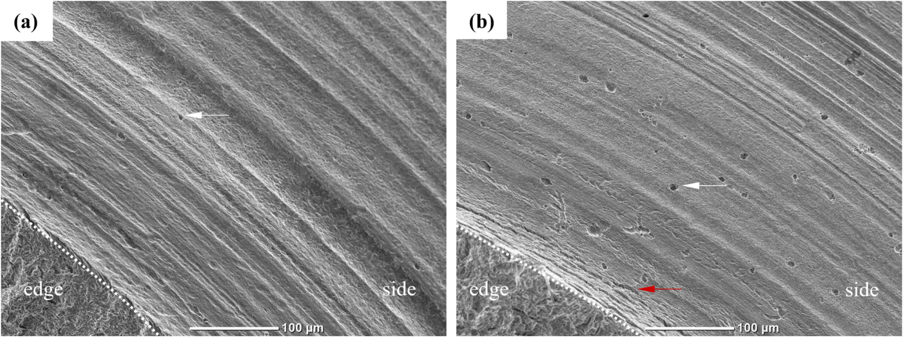 The Effects of NaCl on Hydrogen Permeation and Sulfide Stress Cracking ...
