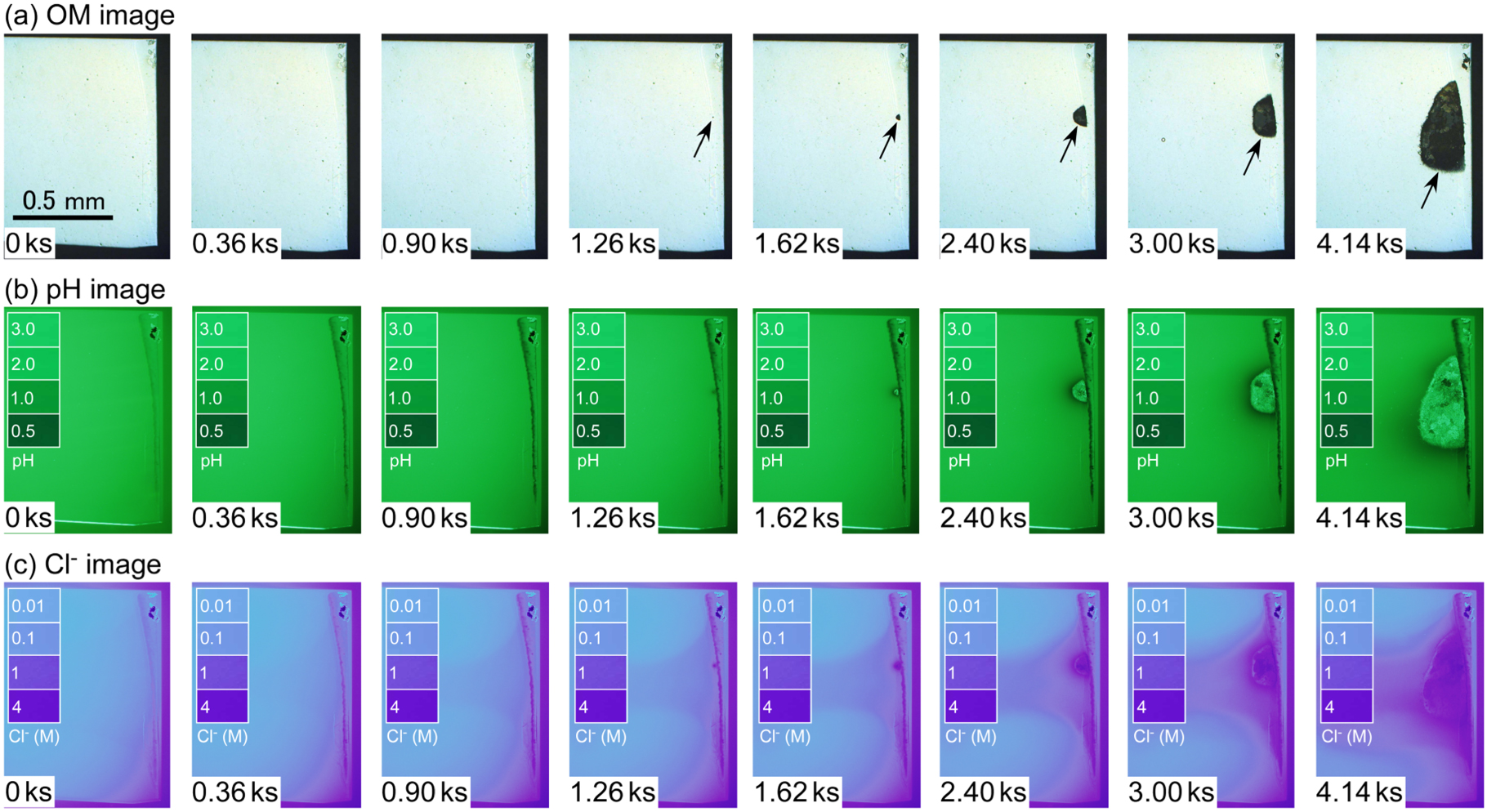 Sudden pH and Cl− Concentration Changes during the Crevice Corrosion of ...