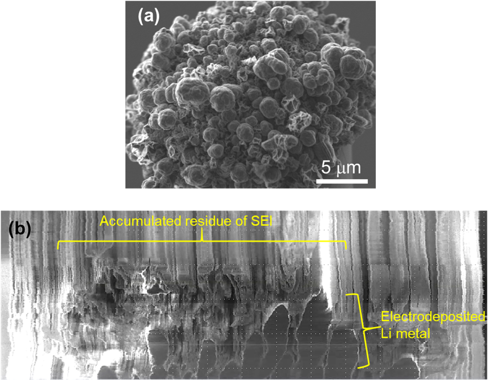 Li Particle 3D Structure Analysis for Understanding of Li Electrodeposition and ...