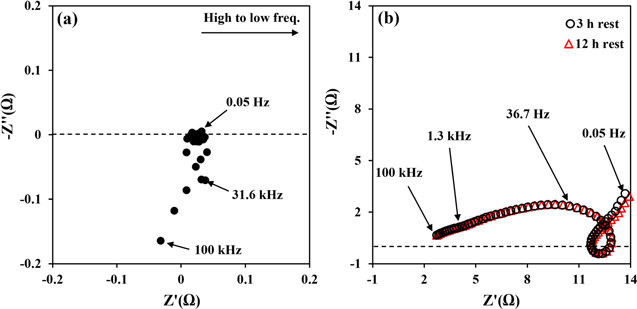 Low-frequency Inductive Loop and Its Origin in the Impedance Spectrum ...