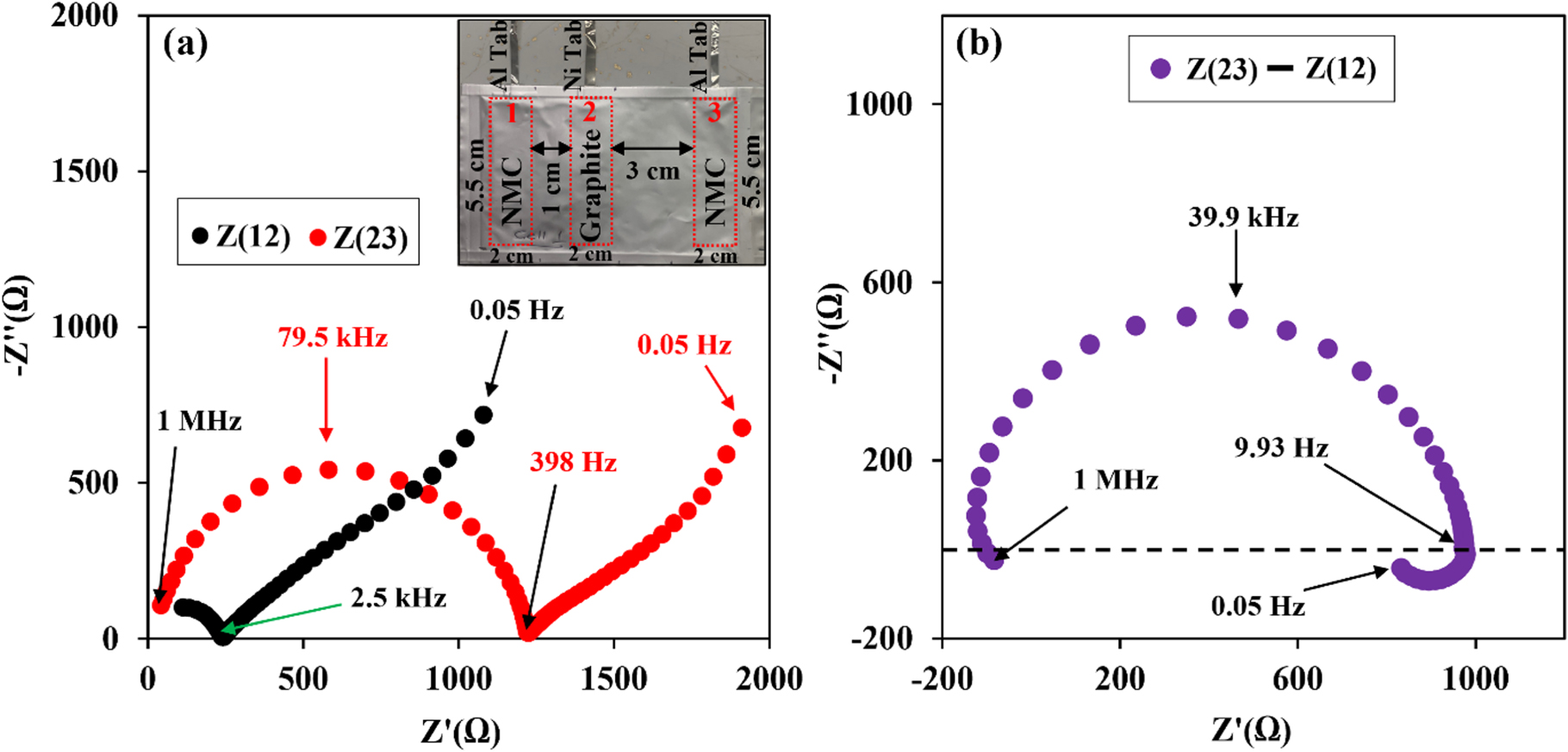 Low-frequency Inductive Loop and Its Origin in the Impedance Spectrum ...
