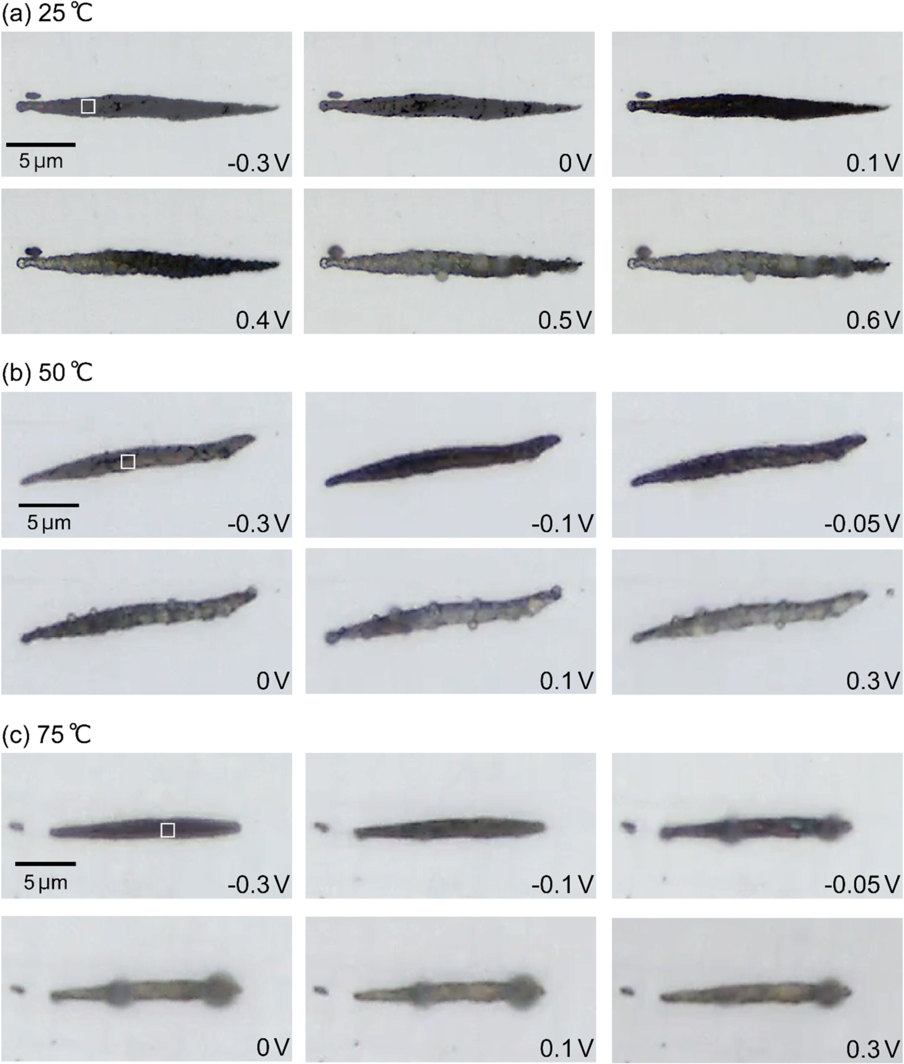 Micro-Electrochemical Aspects of the Effects of Temperature on Pit ...