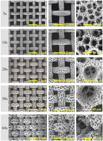 Shape Control of Metal Nanostructures by Electrodeposition and their ...