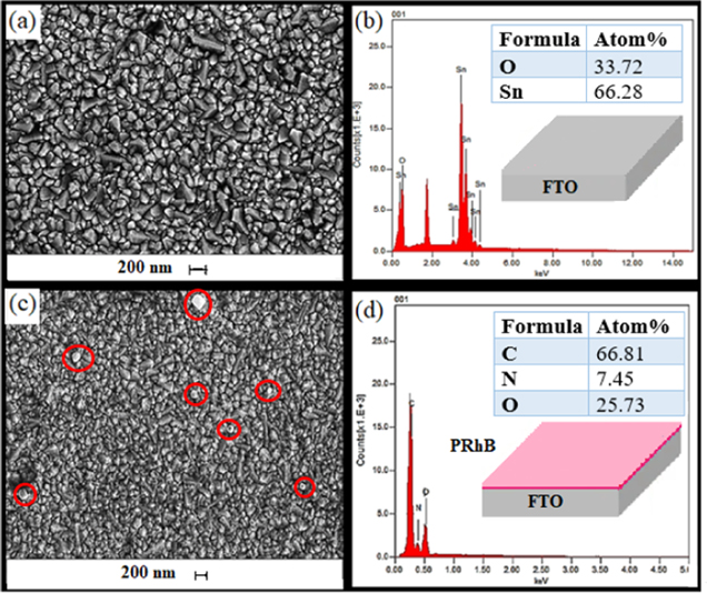 Electrochemical Synthesis and Characterization of Poly(Rhodamine B ...