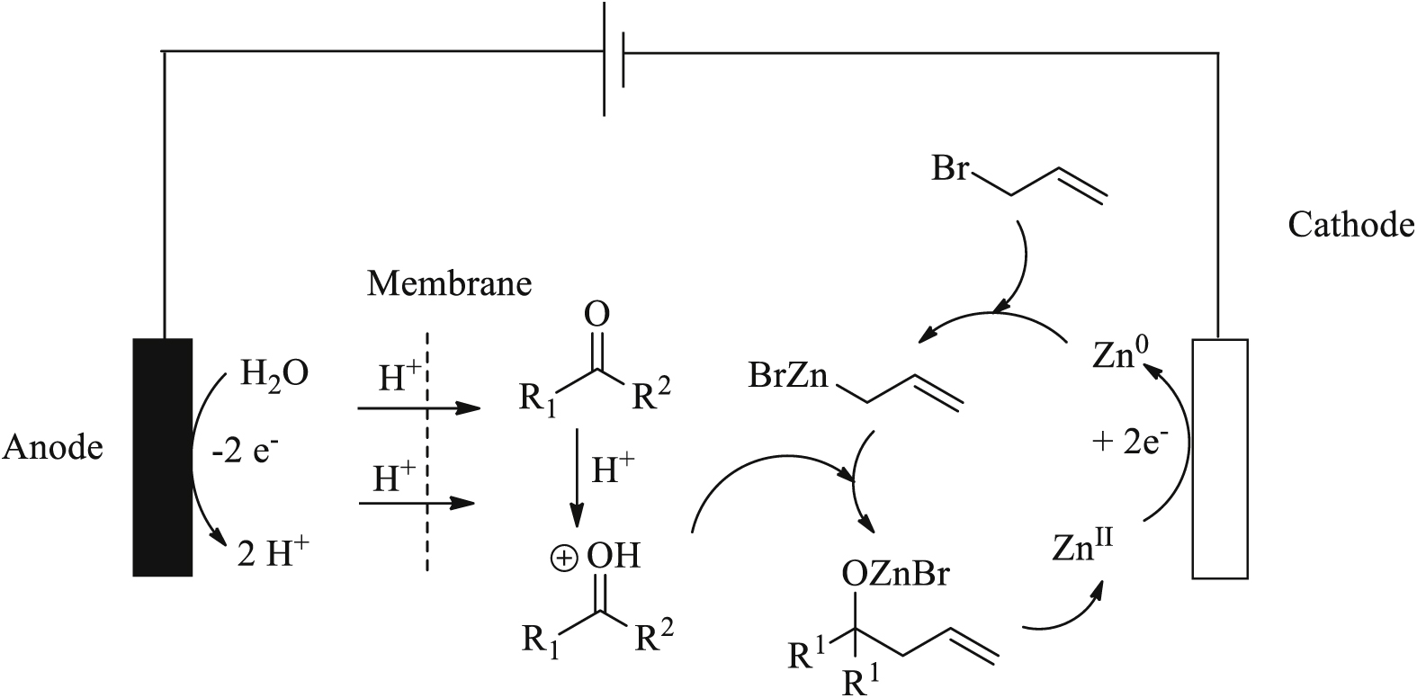 Recent Advances in the Use of Transition Metal Catalysts in the Electro ...