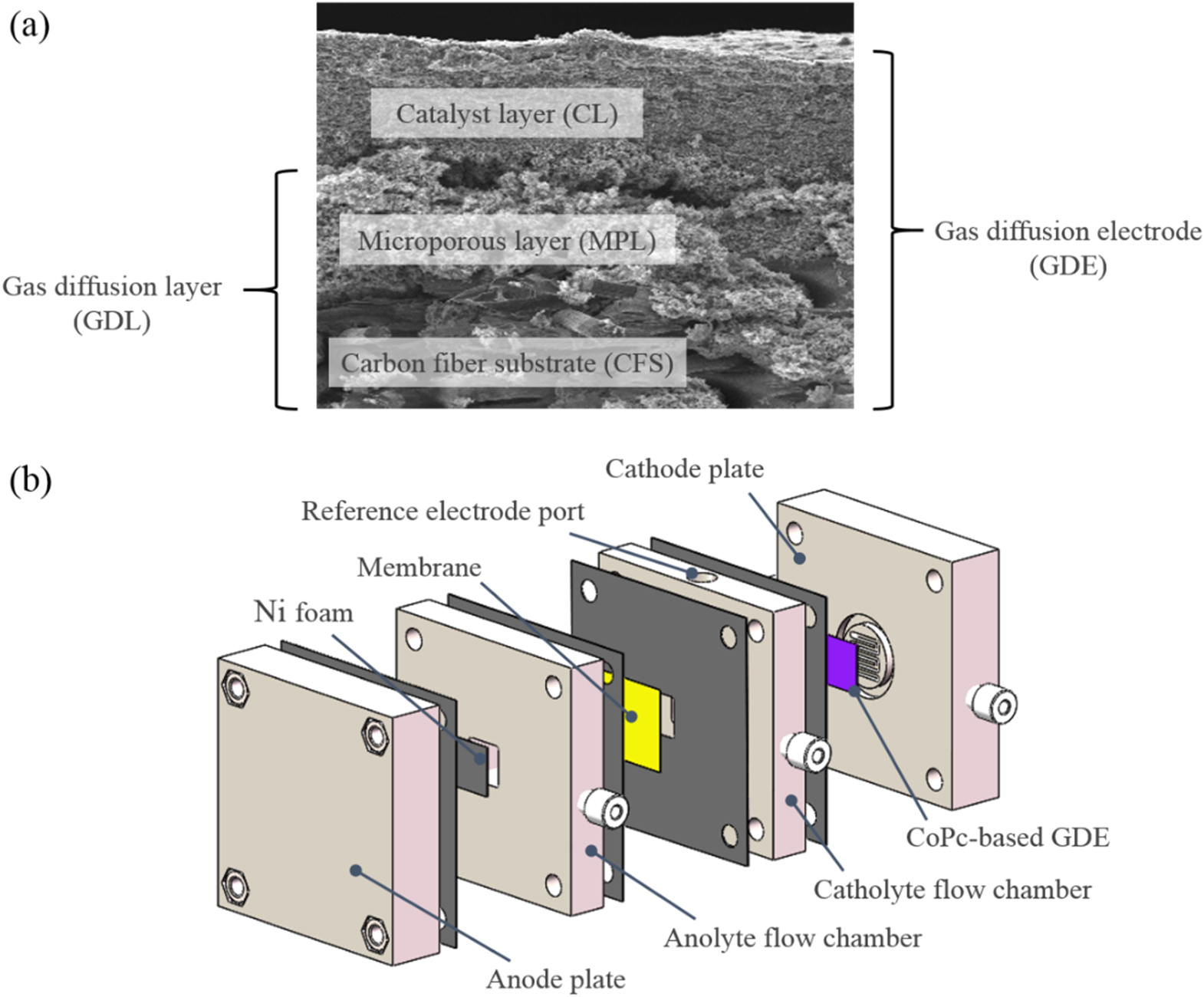 Pore Engineering in Gas Diffusion Layer of Phthalocyanine Cobalt ...