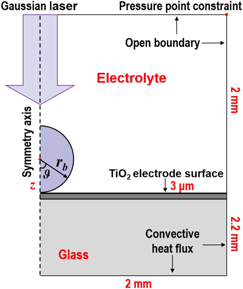 Distribution Characteristics of Multiphysics around the Bubble on the ...