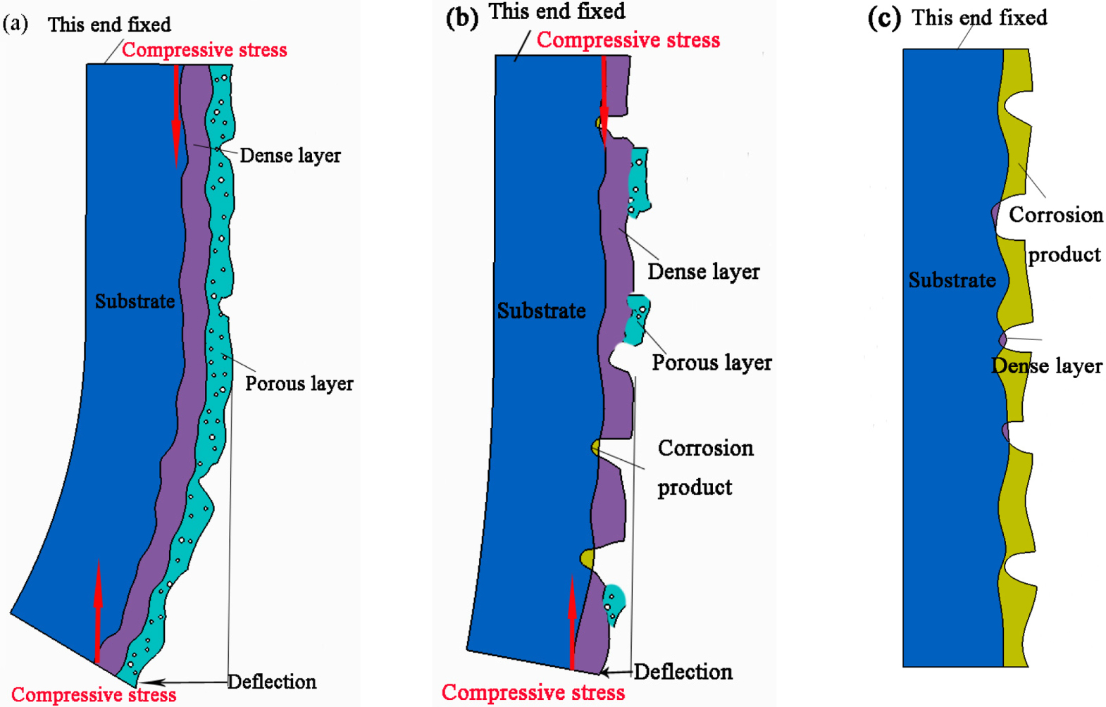 Influence of Interfacial Stress Produced by MAO on Electrochemical ...