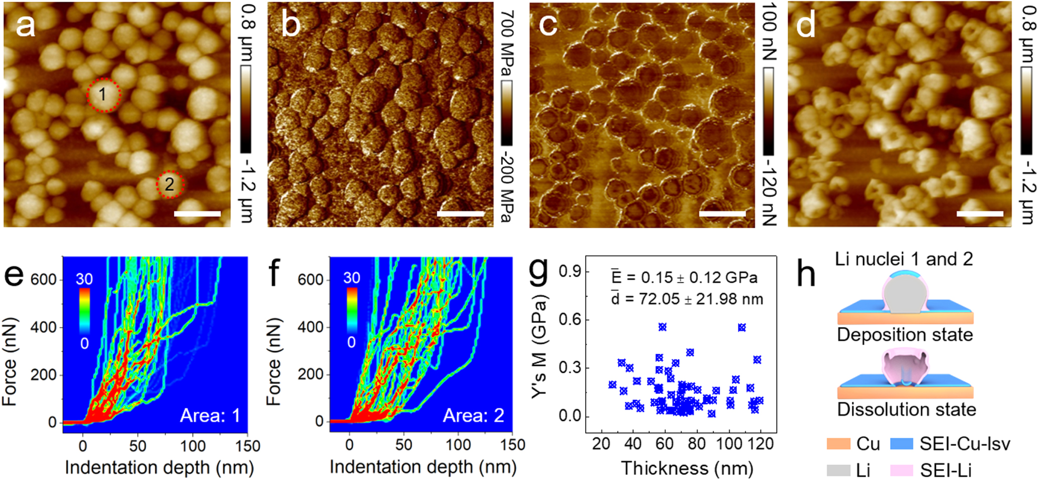 Probing Mechanical Properties of Solid-Electrolyte Interphases on Li ...