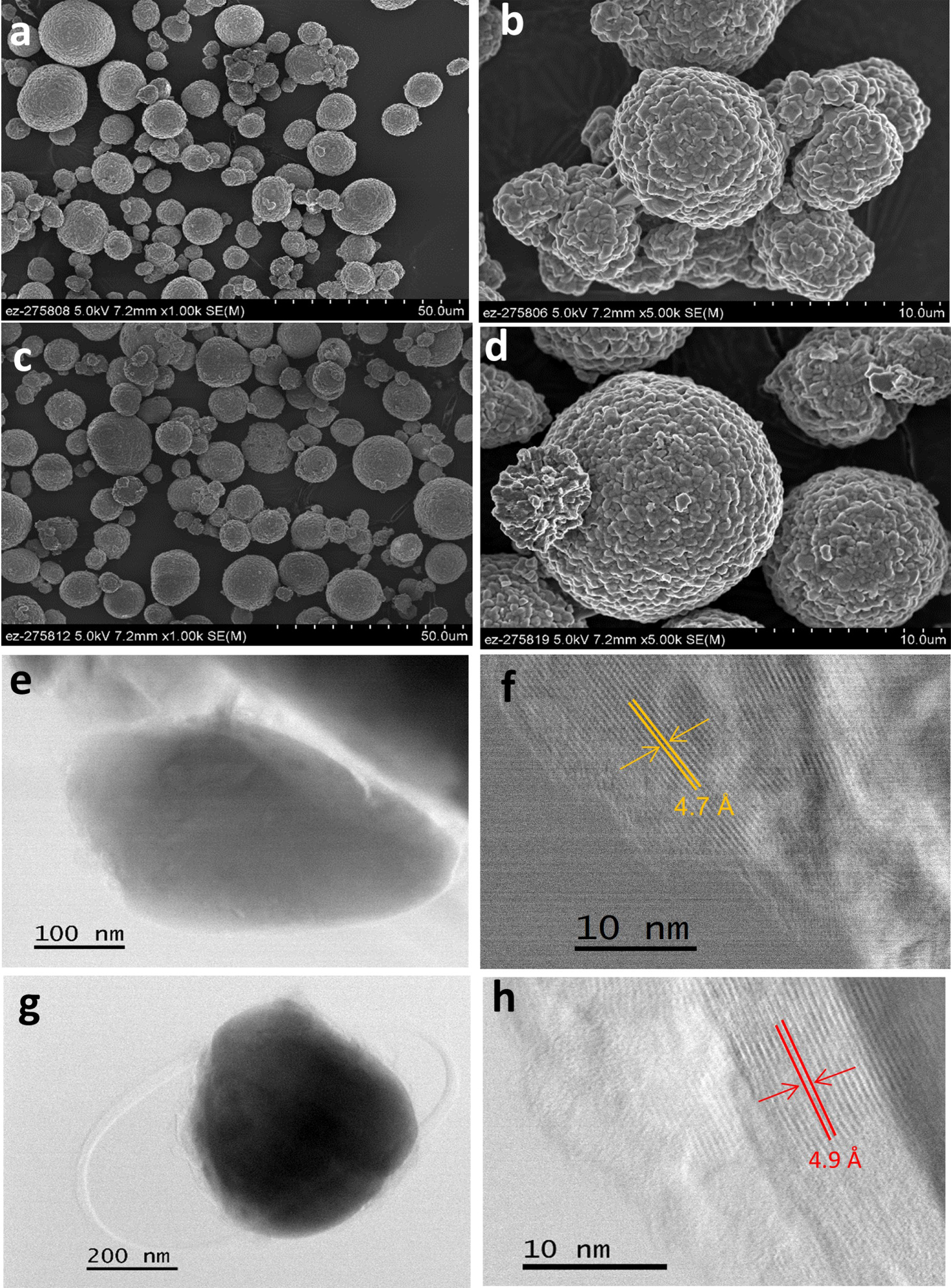Facile Surface Coatings for Performance Improvement of NMC811