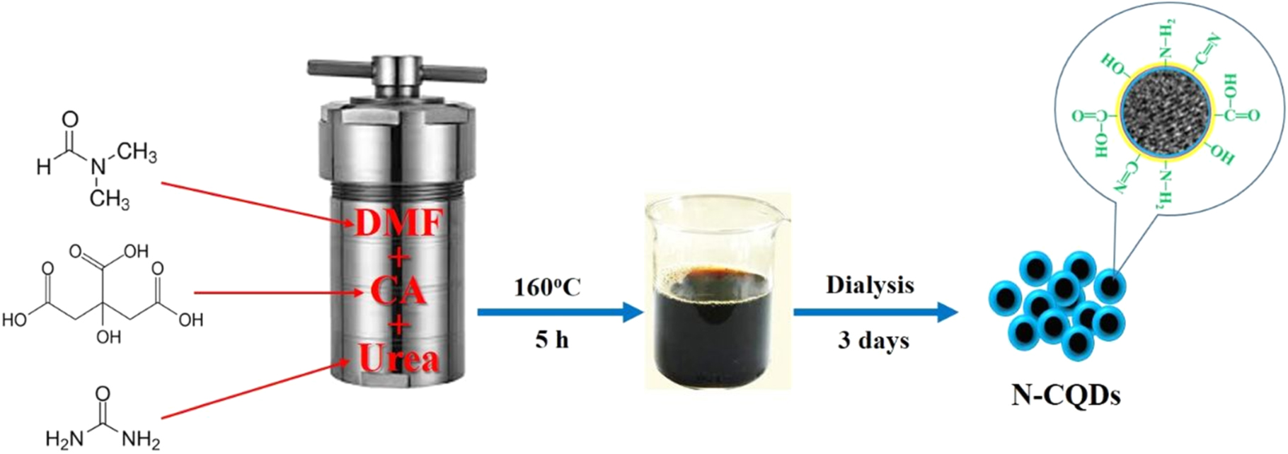 Electrochemiluminescence Sensor Based on N-Doped Carbon Quantum Dots ...