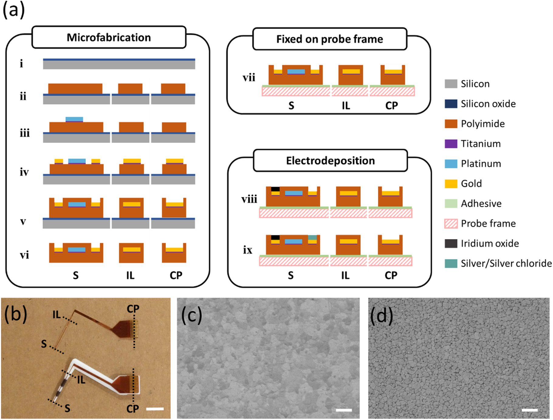 Multifunctional Periodontal Probes and Their Handheld Electronic System ...
