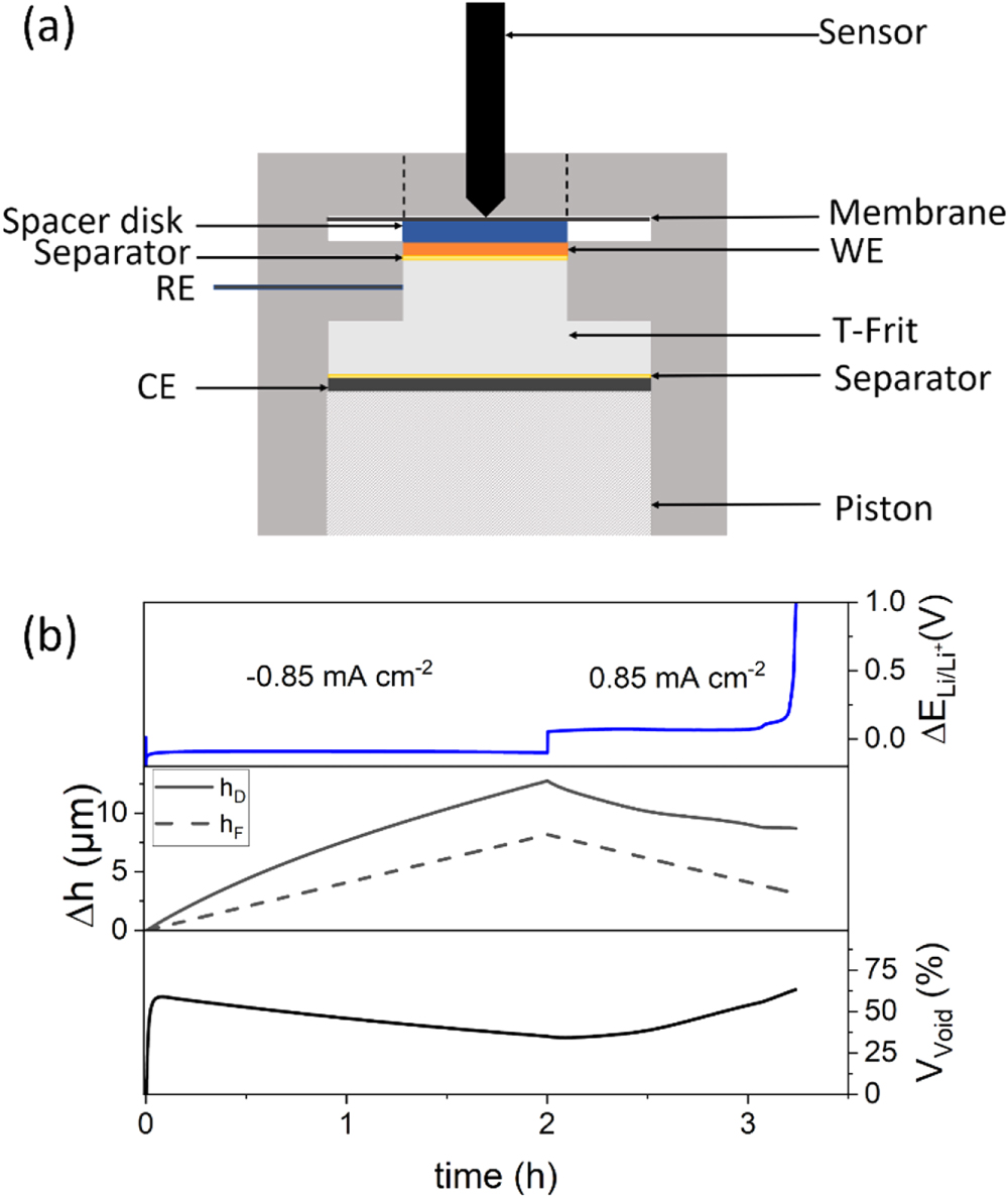 Understanding Li Plating and Stripping Behavior in Zero-Excess Li Metal ...
