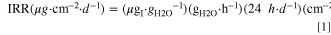 Equation (1)