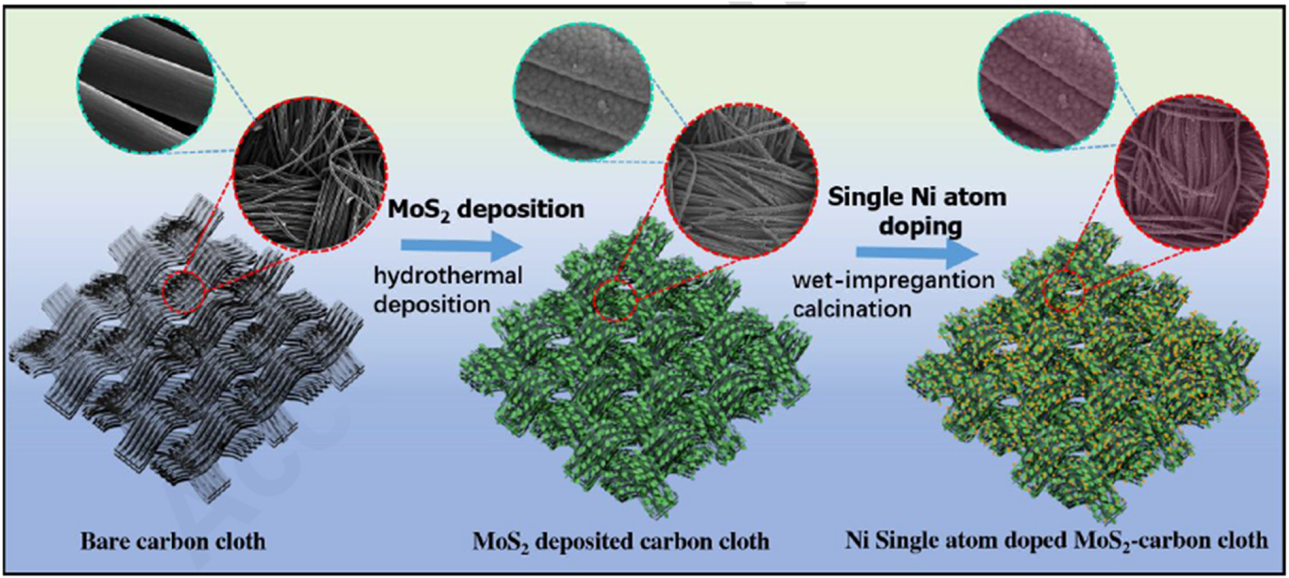 Review—Single-Atom Catalysts as Promising Candidates for ...