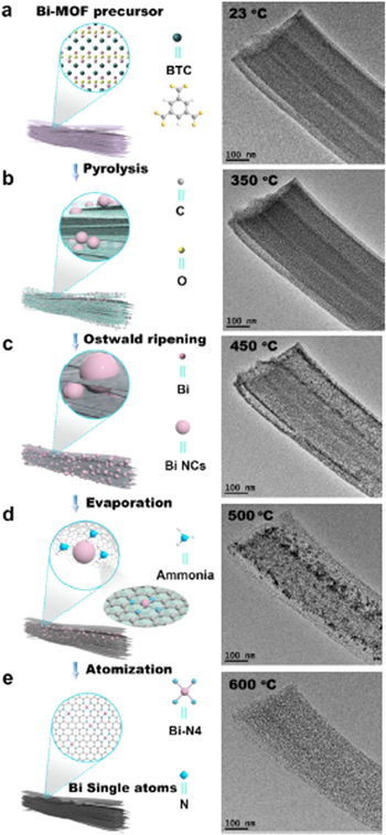 Review—Single-Atom Catalysts as Promising Candidates for ...