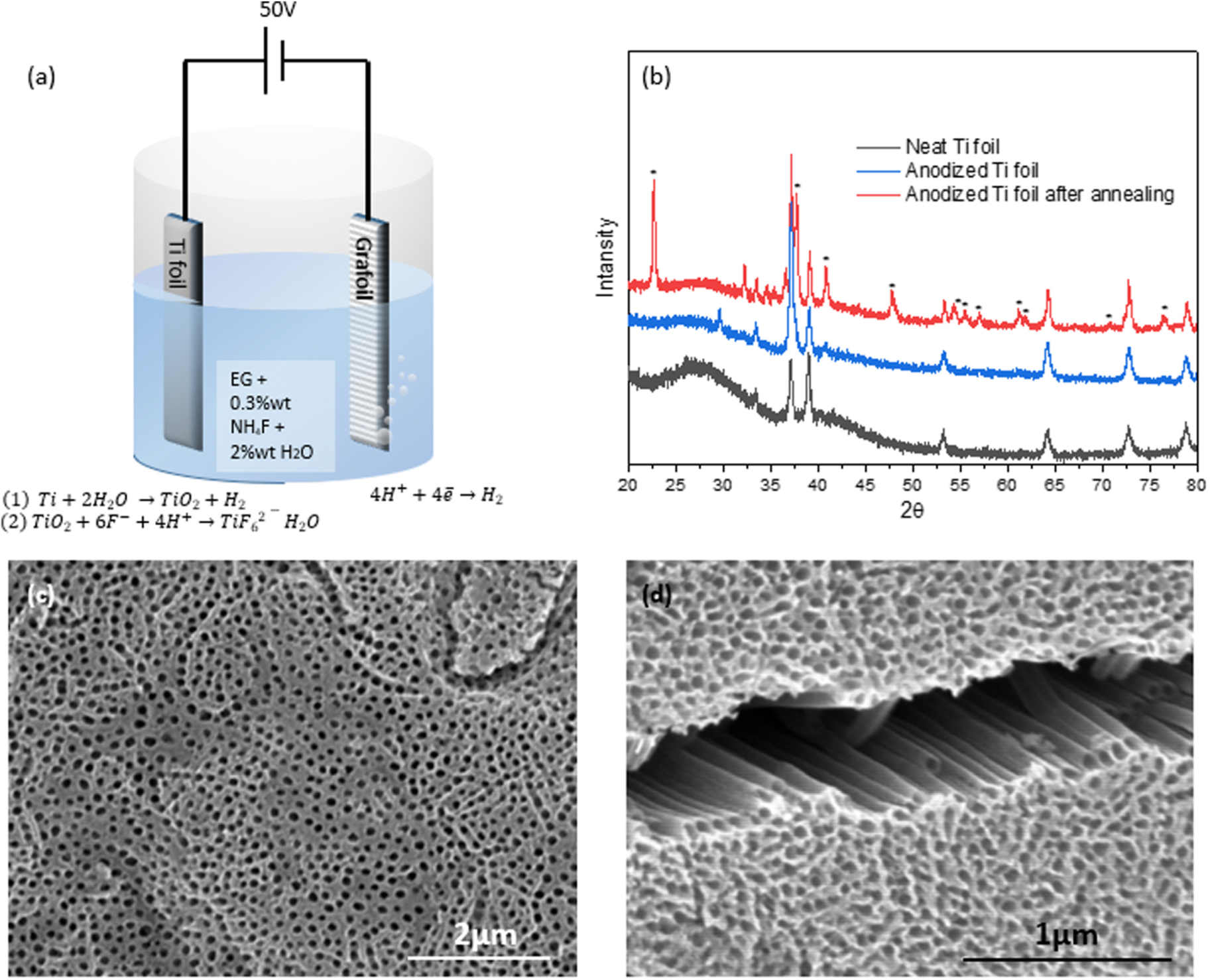 Development of Electroactive and Stable Current Collectors for Aqueous ...
