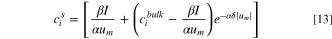 Equation (13)
