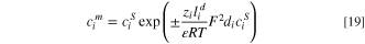 Equation (19)