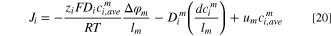 Equation (20)