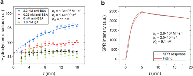 Magnetic Nanoparticle Tracking for One-Step Protein Separation and ...
