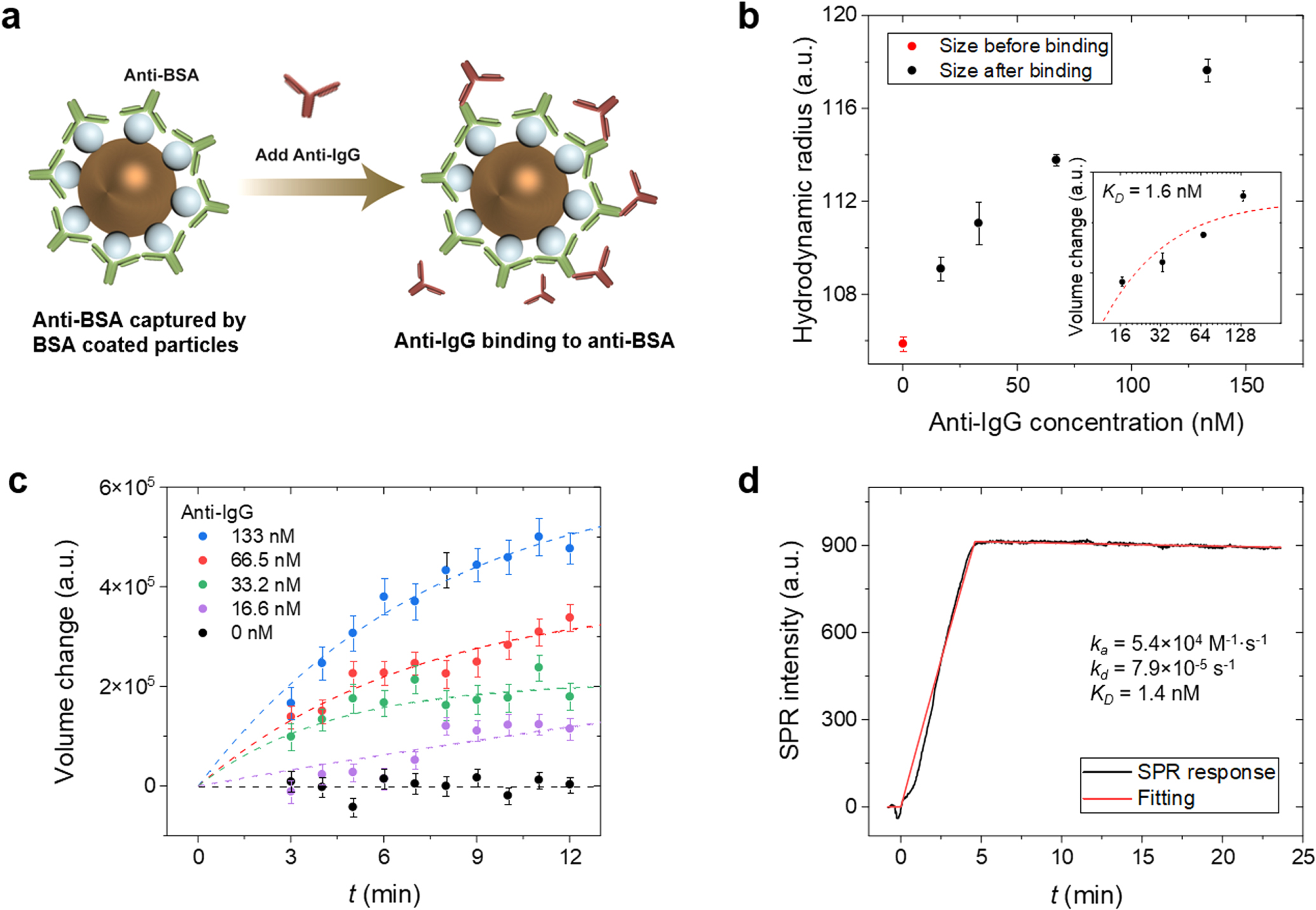 Magnetic Nanoparticle Tracking for One-Step Protein Separation and ...