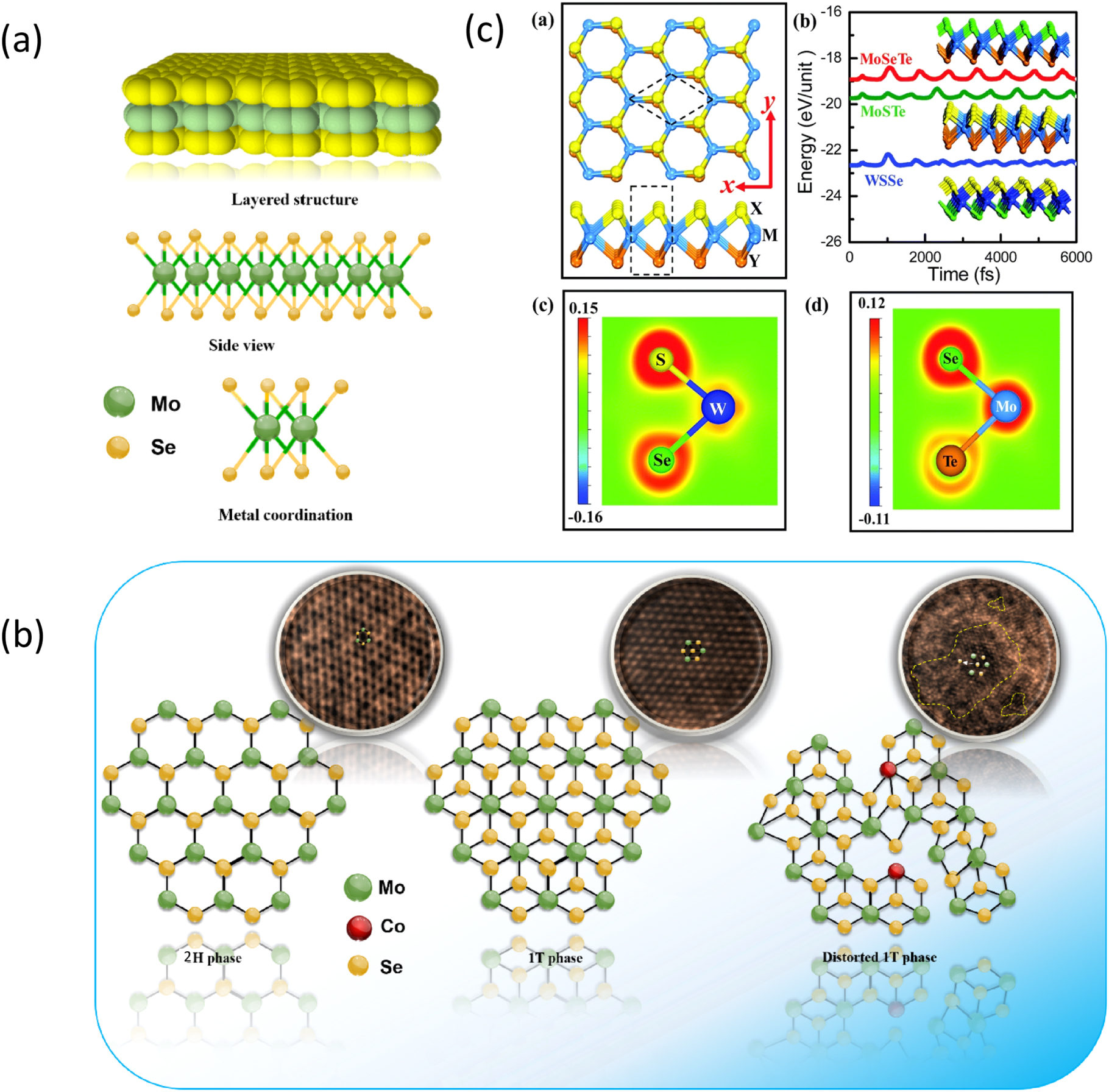 Tmds Examples Review—Recent Developments in the Applications of 2D Transition Metal ...